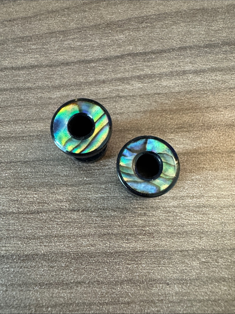 Black Abalone Shell 2 Gauge Plug Earrings